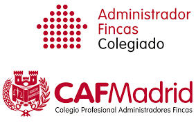 GESTION PROFESIONAL